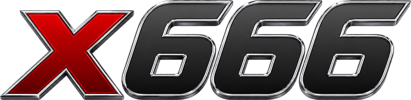 x666